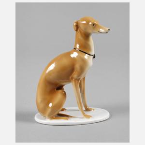 Pfeffer Gotha Windhund