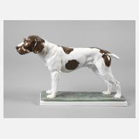 Rosenthal ”Pudelpointer”111