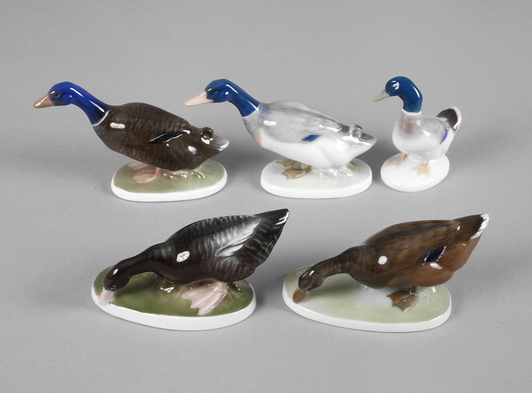 Rosenthal 5 Enten