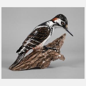 Rosenthal Buntspecht