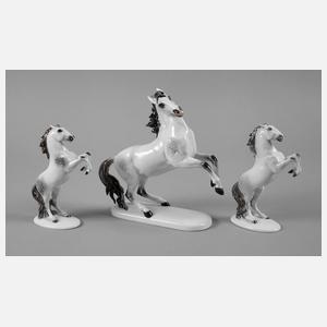 Rosenthal drei Apfelschimmel