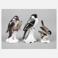 Rosenthal drei Vögel111