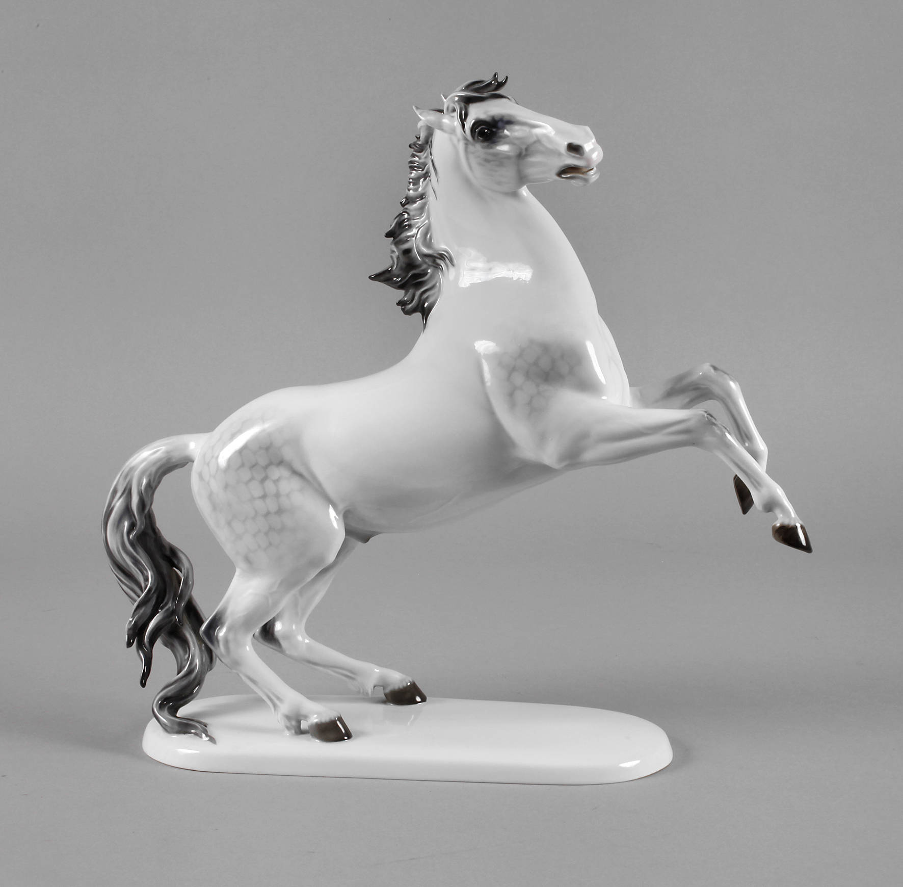 Rosenthal steigender Hengst