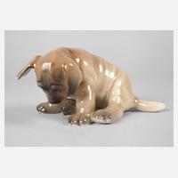 Rörstrand Hundewelpe111