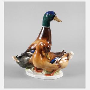 Volkstedt großes Entenpaar