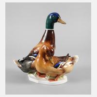 Volkstedt großes Entenpaar111