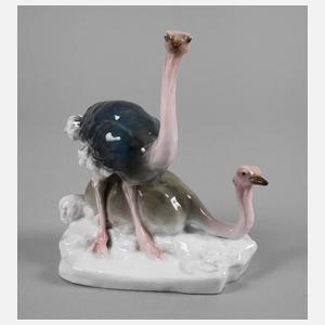 Volkstedt Straußenpaar