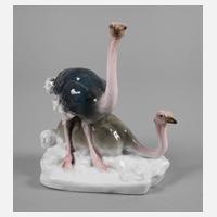 Volkstedt Straußenpaar111