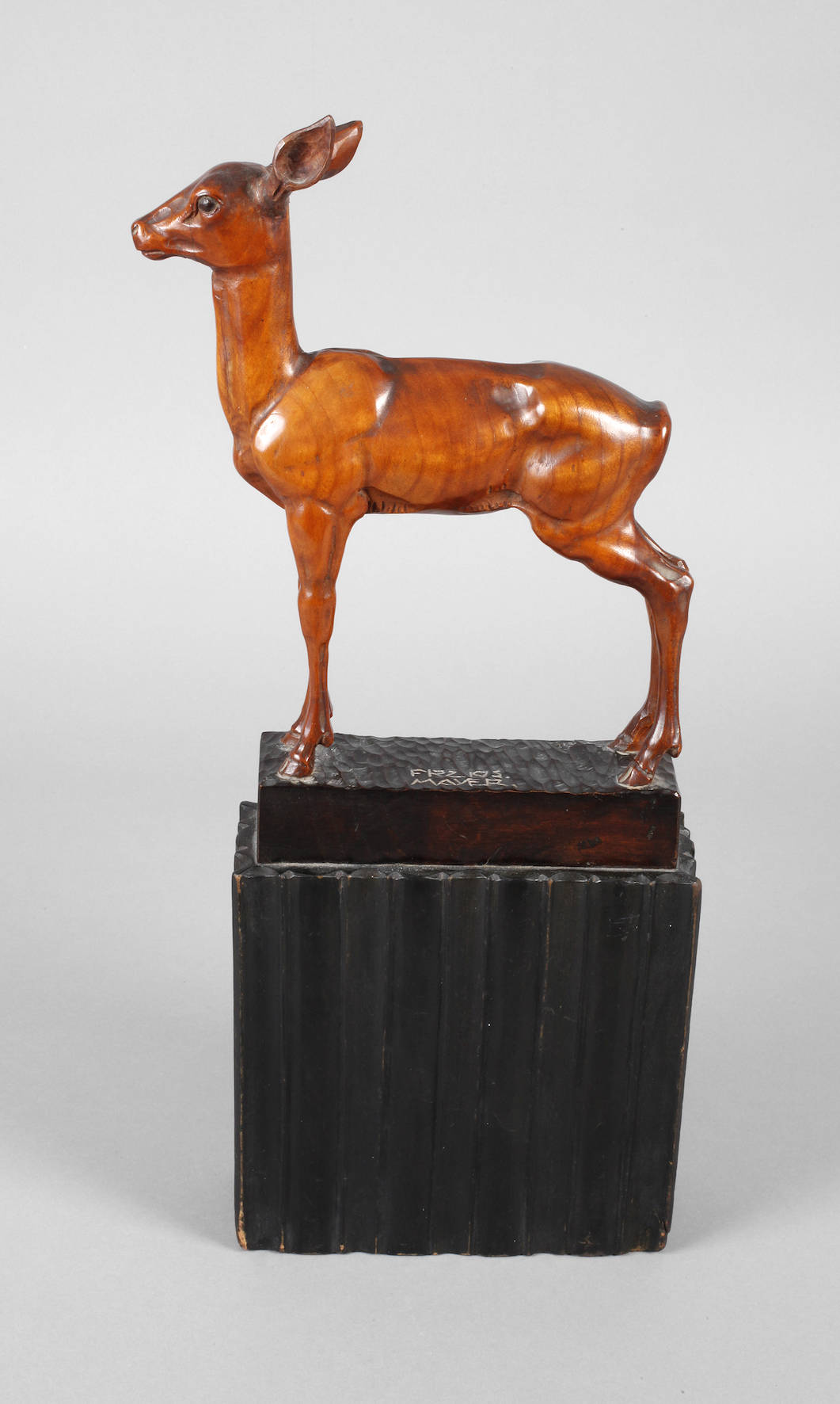 Franz Joseph Mayer, Reh