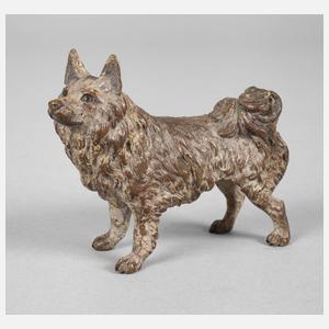Wiener Miniaturbronze Spitz