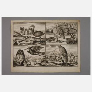 Gerhard Altzenbach, Konvolut Vogeldarstellungen