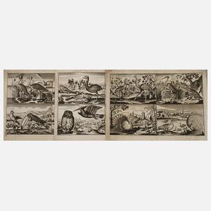 Gerhard Altzenbach, Konvolut Vogeldarstellungen