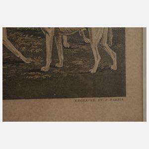 John Harris, Blatt aus der Serie ”Fox Hunting”