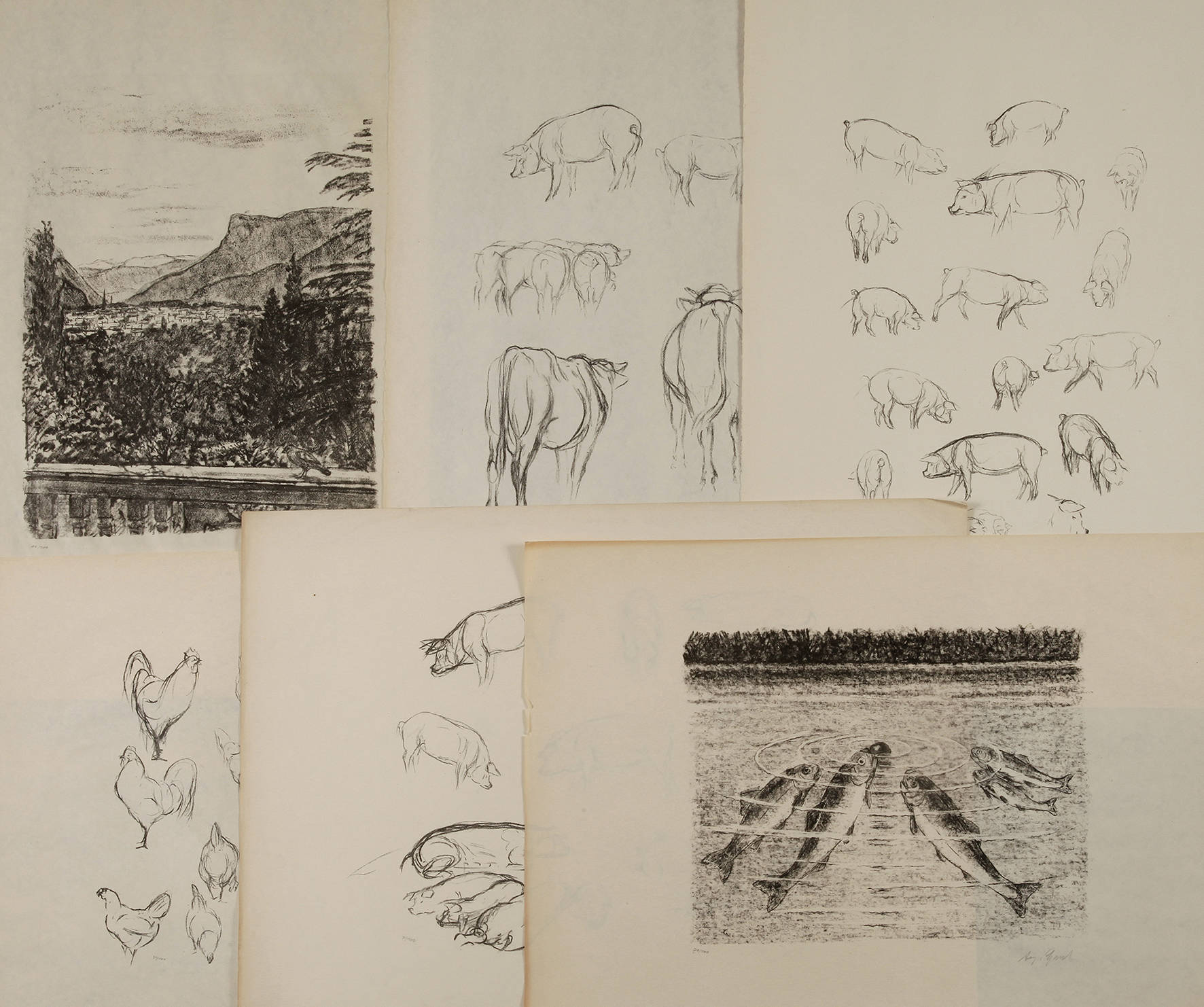 Prof. August Gaul, Graphikkonvolut