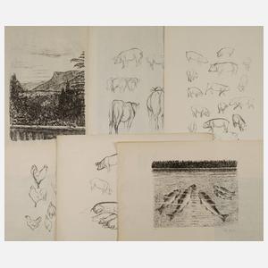 Prof. August Gaul, Graphikkonvolut