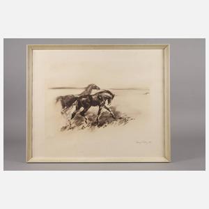 Hans Jörg Wagner, Zwei Wildpferde