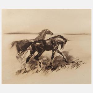 Hans Jörg Wagner, Zwei Wildpferde