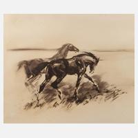 Hans Jörg Wagner, Zwei Wildpferde111