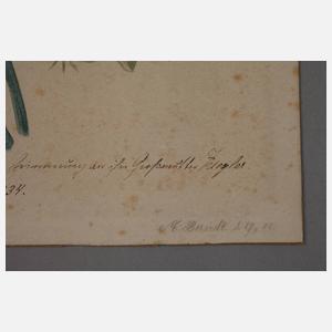 M. Berndt, Sommerblumen