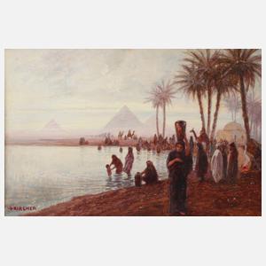 Prof. Alexander Kircher, Abend am Nil