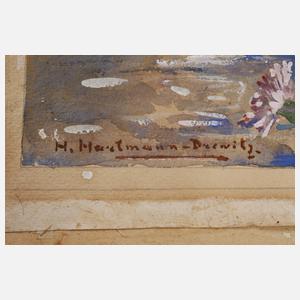 Hermann Hartmann-Drewitz, Feldblumenstrauß