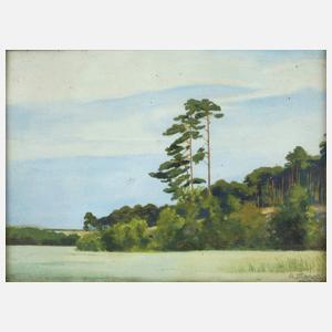 Albert Stangl, Sommerlandschaft