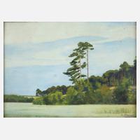 Albert Stangl, Sommerlandschaft111