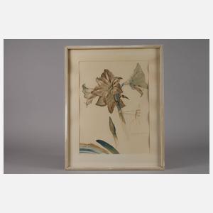 Rudolf Werner, ”Amaryllis”