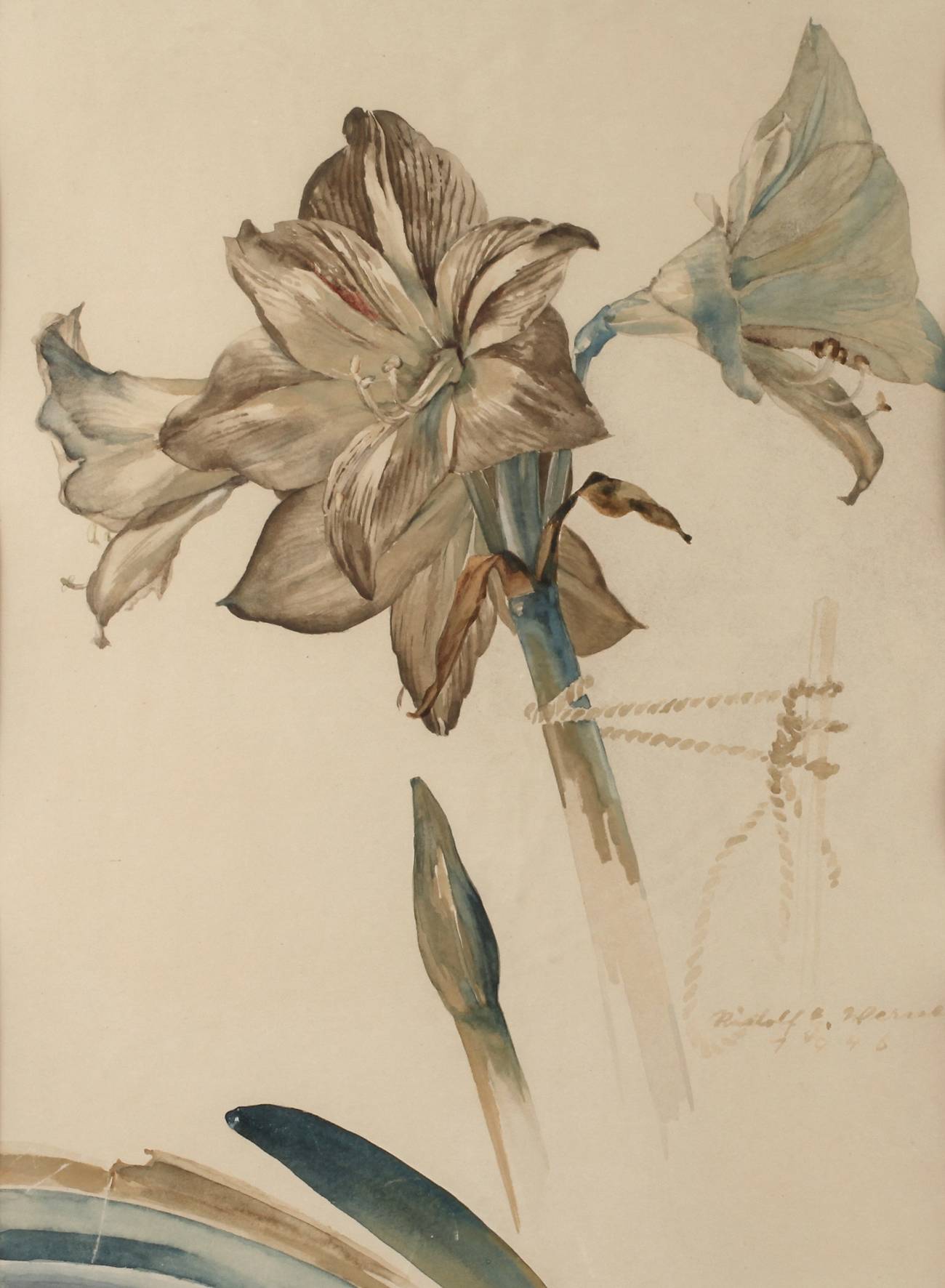 Rudolf Werner, ”Amaryllis”