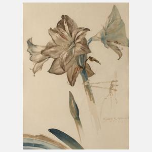 Rudolf Werner, ”Amaryllis”
