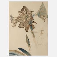 Rudolf Werner, ”Amaryllis”111