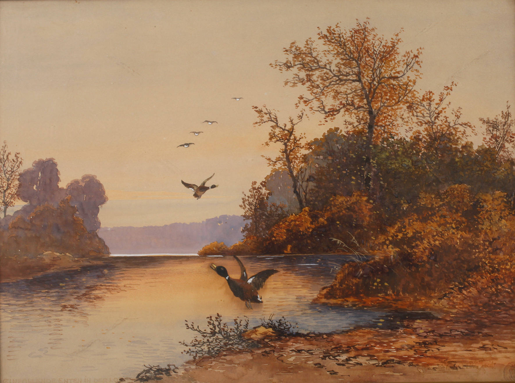 ”Einfallende Enten”