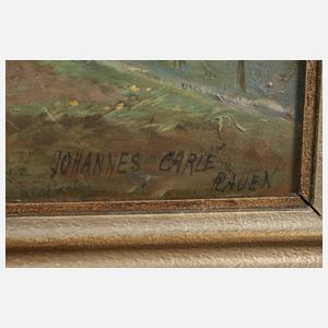 Johannes Carlé, Blick auf Ruderitz