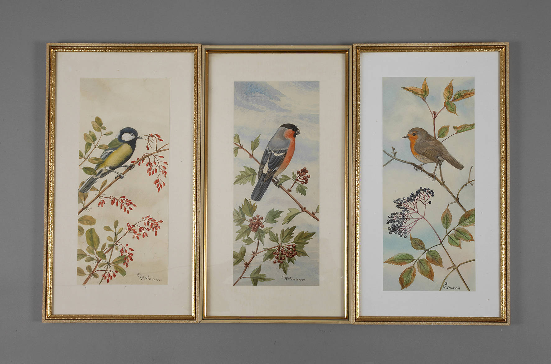 Friedrich Reimann, Drei Vogeldarstellungen