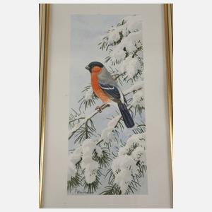 Friedrich Reimann, Drei Vogeldarstellungen