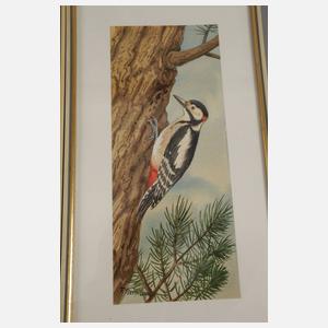 Friedrich Reimann, Drei Vogeldarstellungen