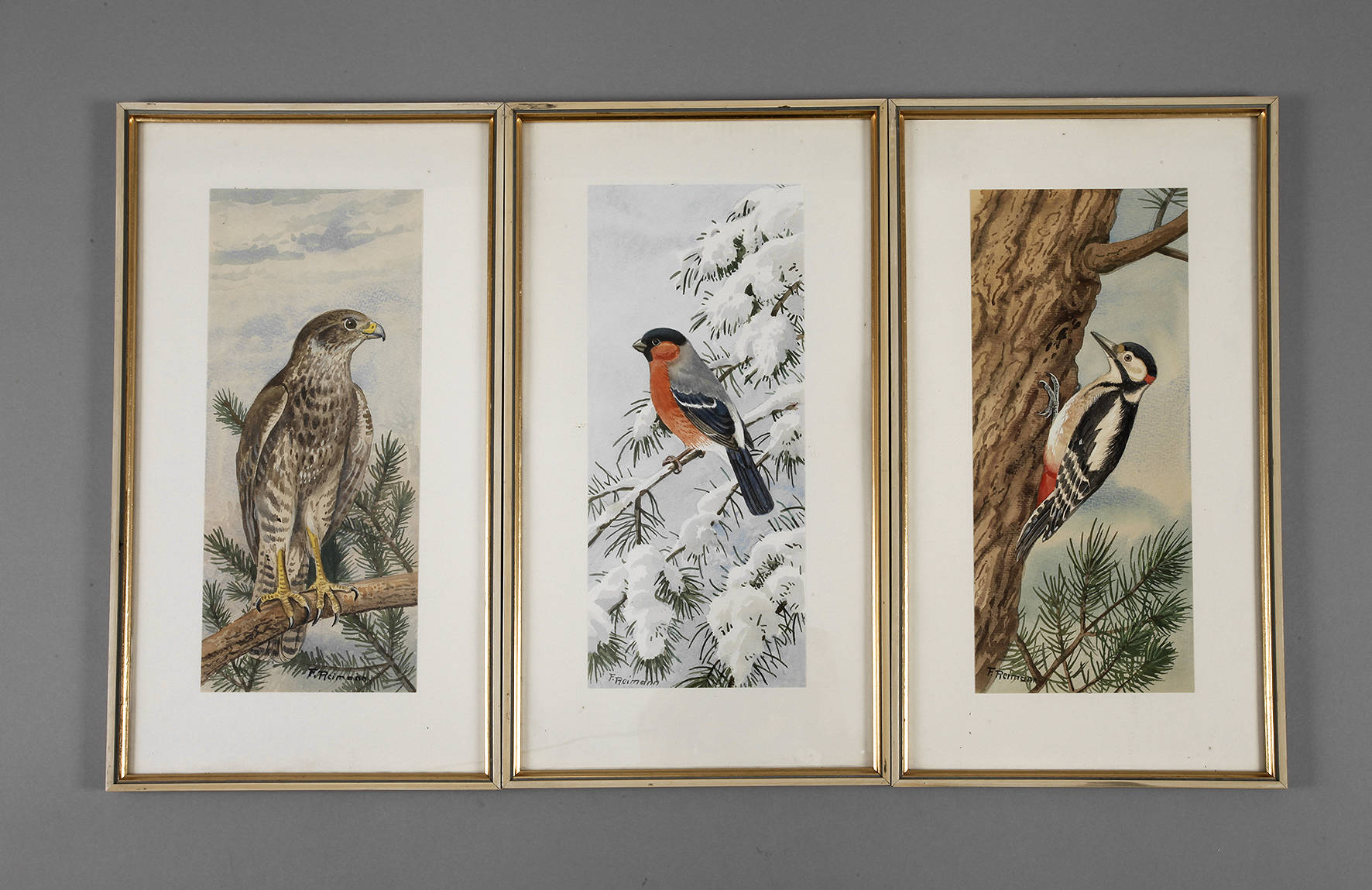 Friedrich Reimann, Drei Vogeldarstellungen