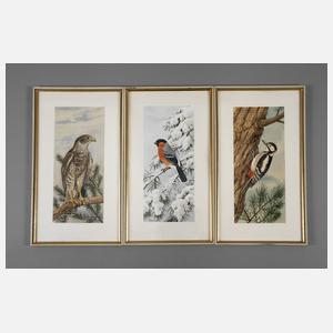 Friedrich Reimann, Drei Vogeldarstellungen