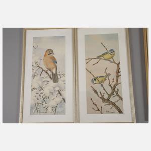 Friedrich Reimann, Serie mit Vogeldarstellungen