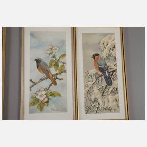 Friedrich Reimann, Serie mit Vogeldarstellungen