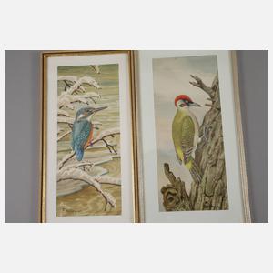 Friedrich Reimann, Serie mit Vogeldarstellungen