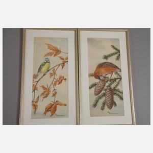 Friedrich Reimann, Serie mit Vogeldarstellungen