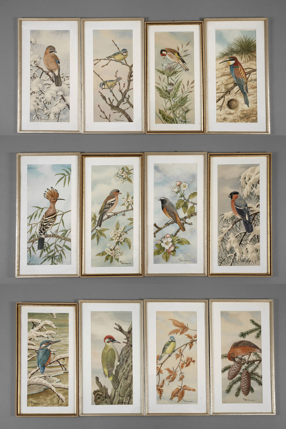 Friedrich Reimann, Serie mit Vogeldarstellungen