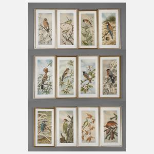 Friedrich Reimann, Serie mit Vogeldarstellungen