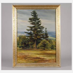 Albin Schlehahn, Sommerlandschaft