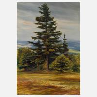 Albin Schlehahn, Sommerlandschaft111