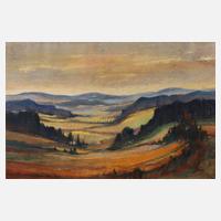 ”Im Vogtland”111