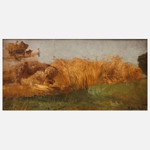 Heinrich Deuchert, Studie ”Am Chiemsee”