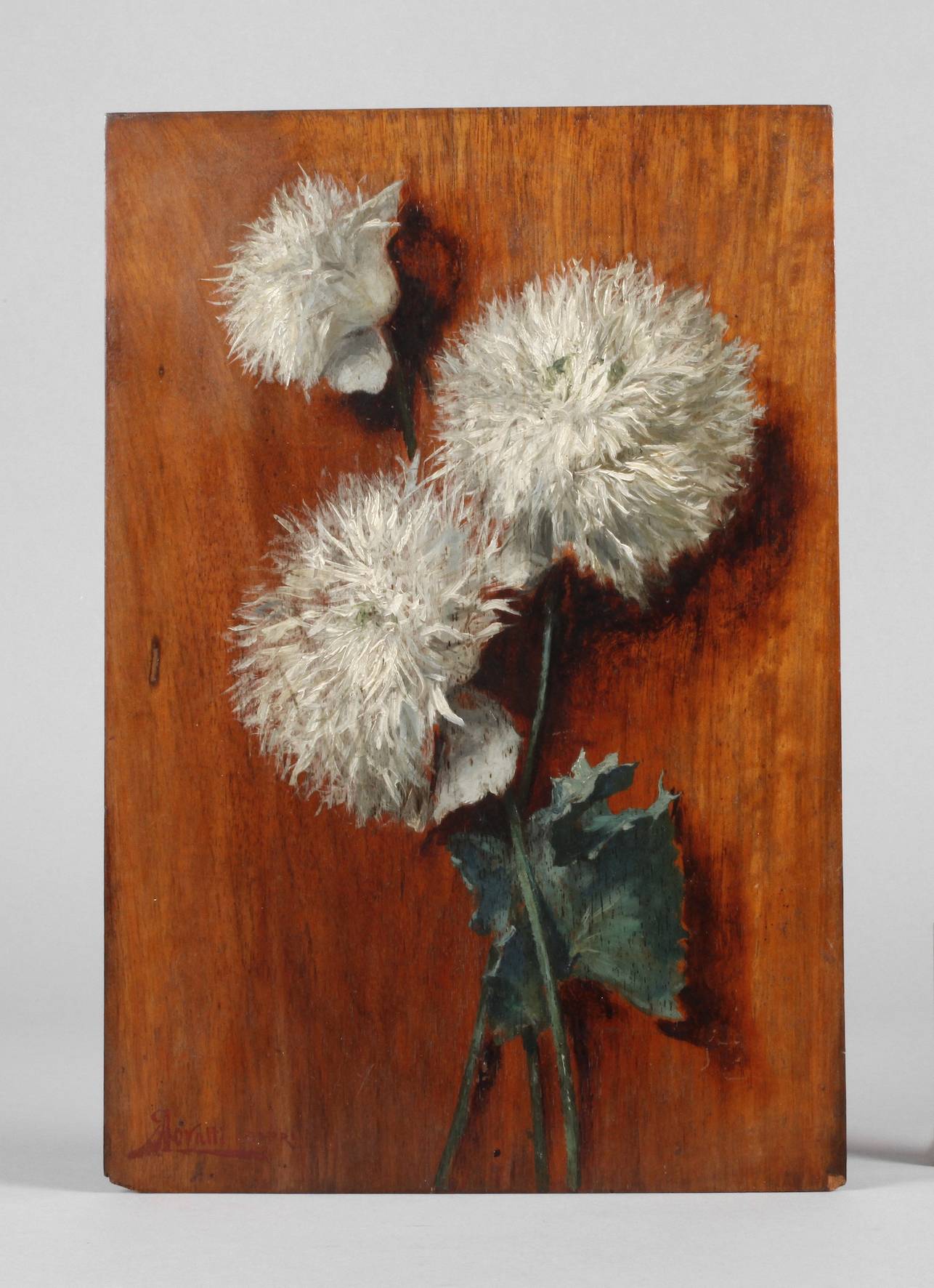 Augusto Lovatti, Distelblüten