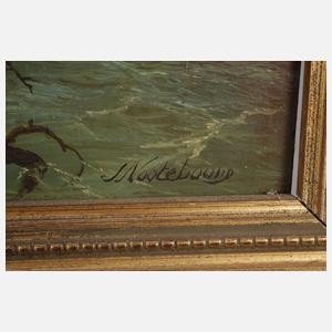 Jacobus Nooteboom, Mühle am Fluss